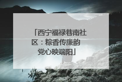西宁福禄巷南社区：粽香传廉韵 党心映端阳